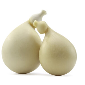 CACIOCAVALLO