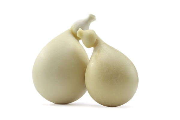 CACIOCAVALLO